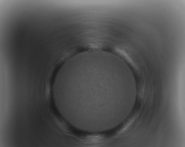 X0000089750213200706281631