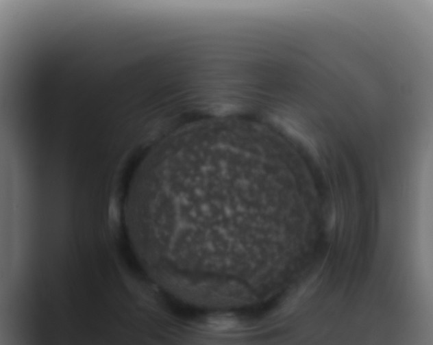 X0000089750214200706281631