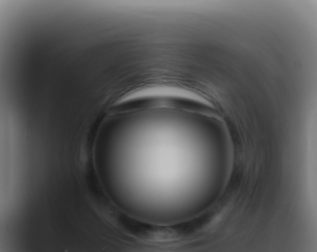 X0000089750215200706281631