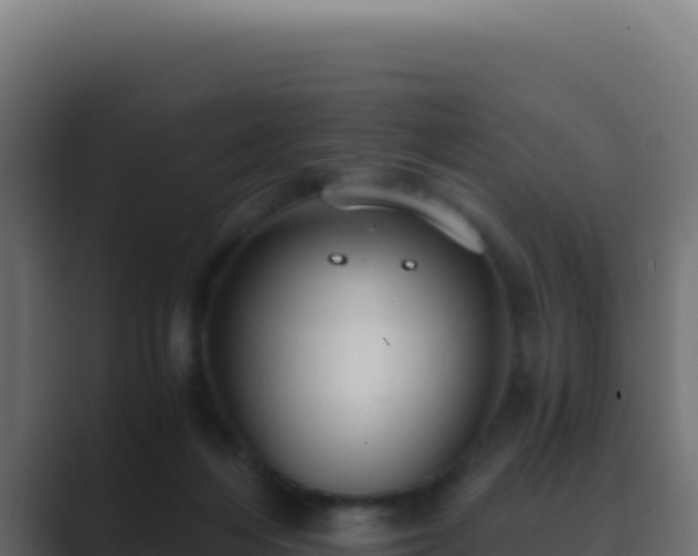 X0000089750216200706281631