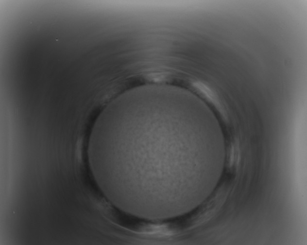 X0000089750217200706281631