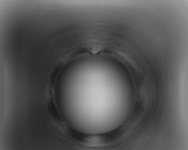 X0000089750218200706281631