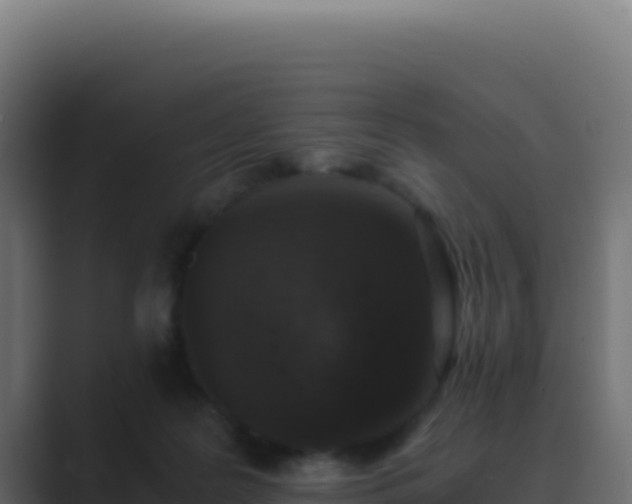 X0000089750219200706281631