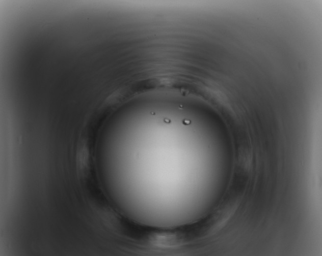 X0000089750220200706281631