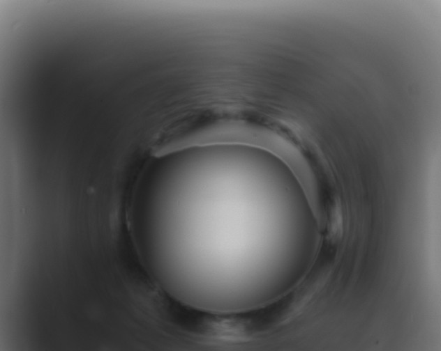 X0000089750221200706281631