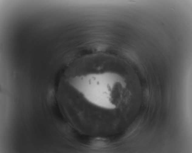 X0000089750222200706281631