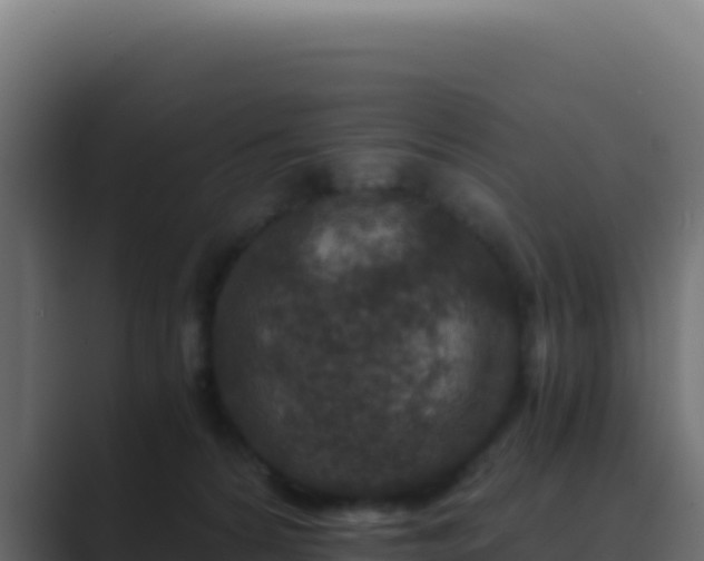 X0000089750224200706281631