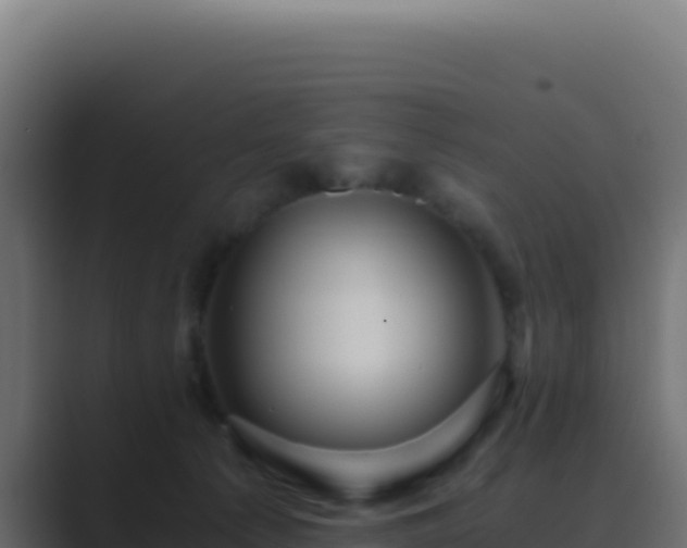 X0000089750225200706281631