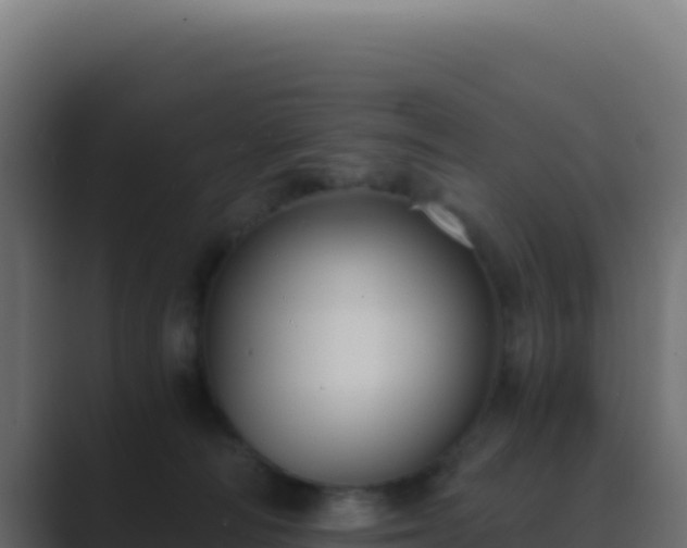 X0000089750226200706281631