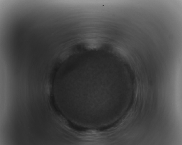 X0000089750227200706281631