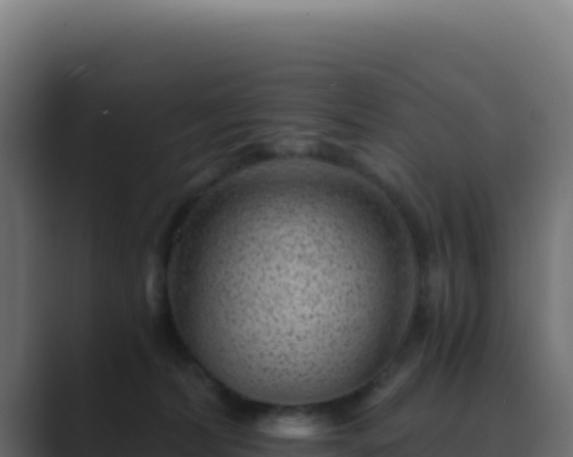 X0000089750228200706281631