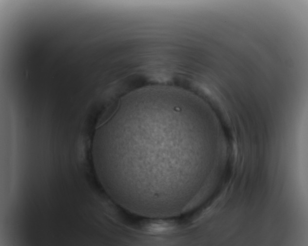 X0000089750229200706281631