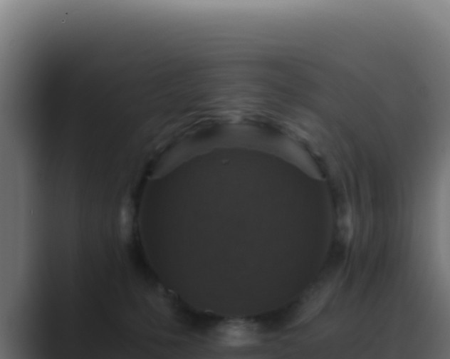 X0000089750231200706281631