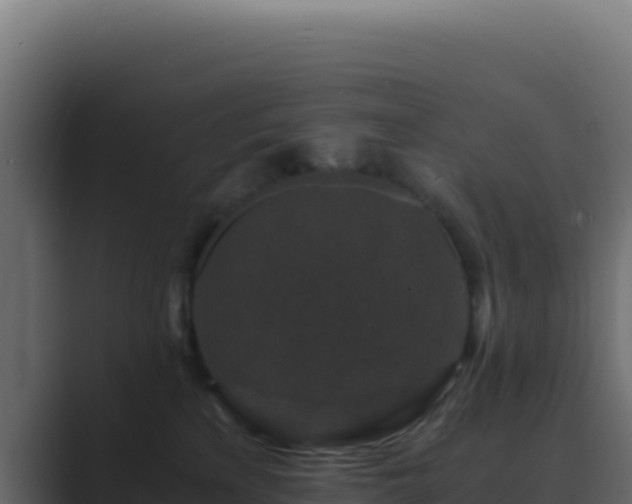 X0000089750233200706281631