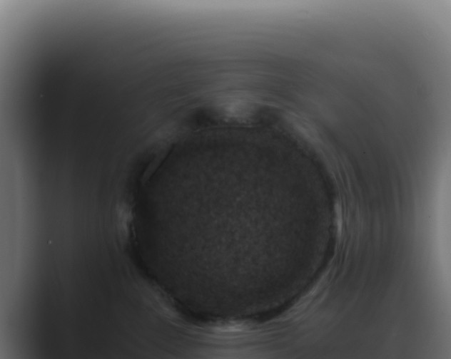 X0000089750235200706281631