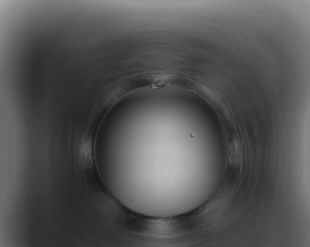 X0000089750238200706281631