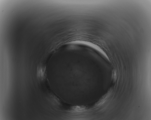 X0000089750239200706281631