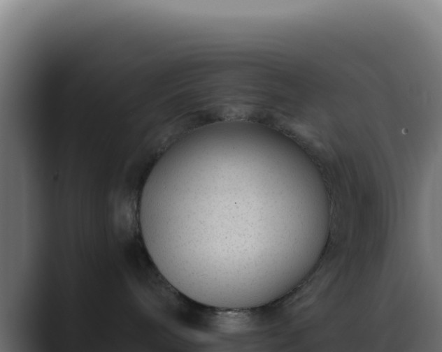 X0000089750240200706281631