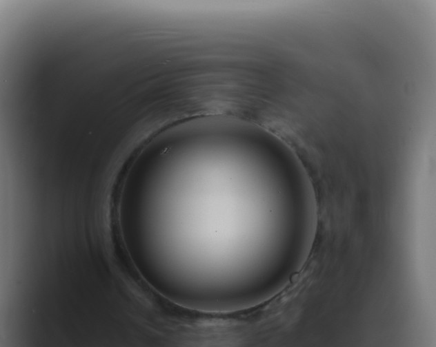 X0000089750242200706281630