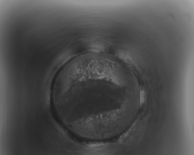 X0000089750243200706281630