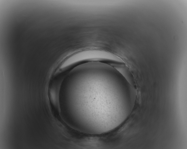 X0000089750244200706281630