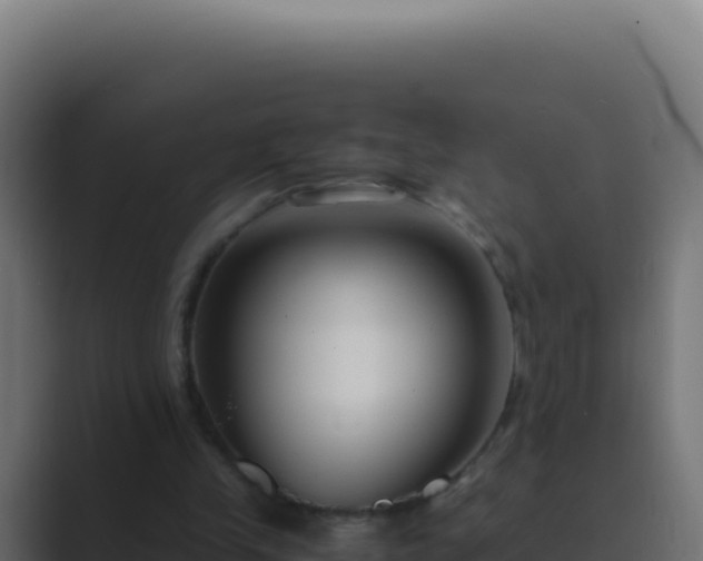 X0000089750245200706281630