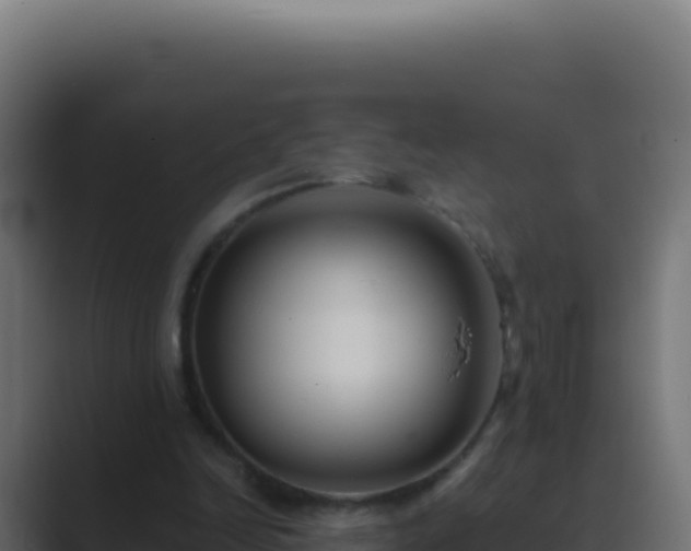 X0000089750246200706281630