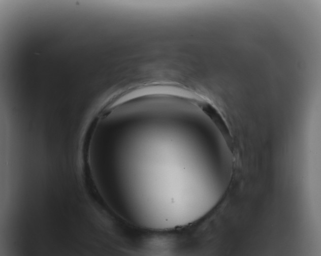 X0000089750248200706281630