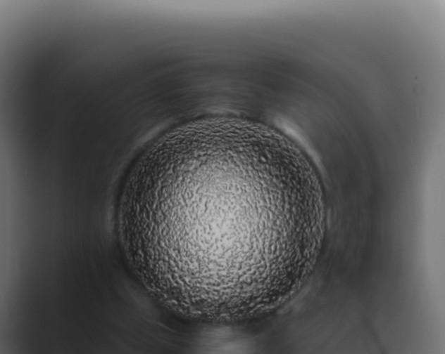 X0000089750249200706281630