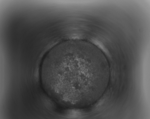 X0000089750250200706281630