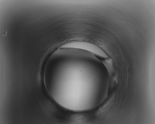 X0000089750252200706281630