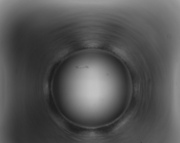 X0000089750254200706281630