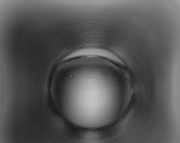 X0000089750256200706281631