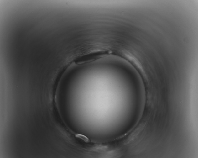 X0000089750257200706281631