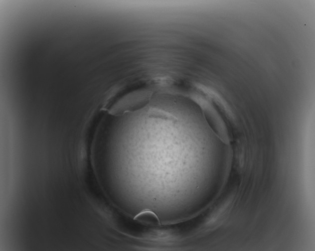 X0000089750260200706281631