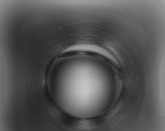 X0000089750261200706281631