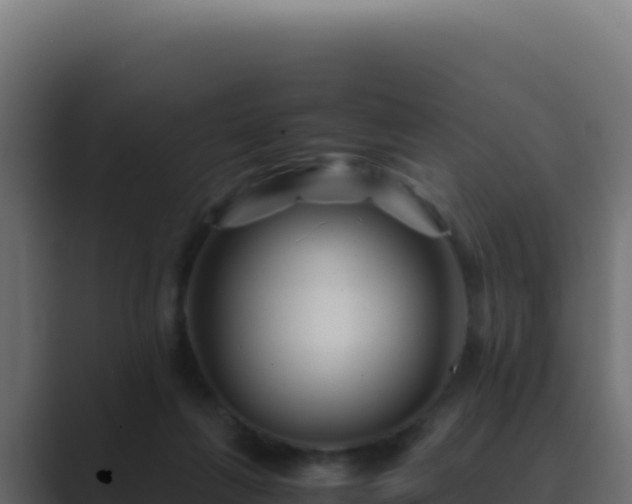 X0000089750263200706281631