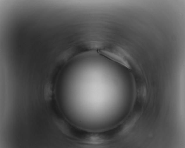 X0000089750264200706281631