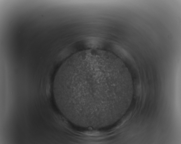 X0000089750266200706281631