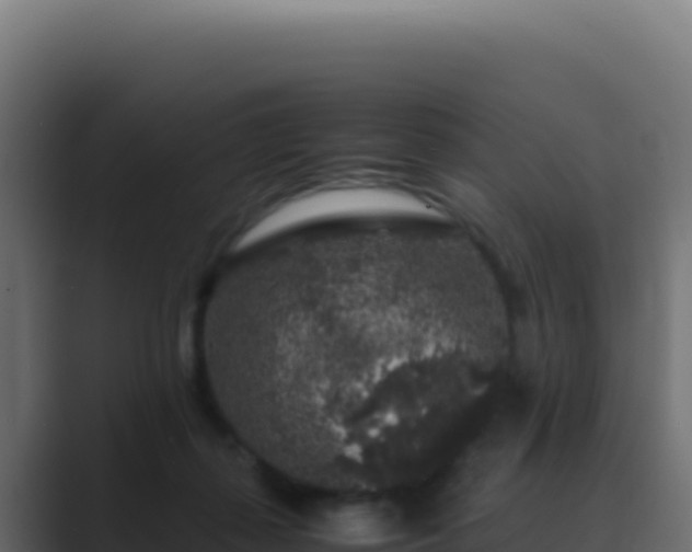 X0000089750267200706281631