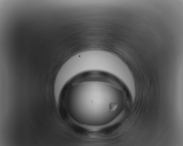 X0000089750268200706281631