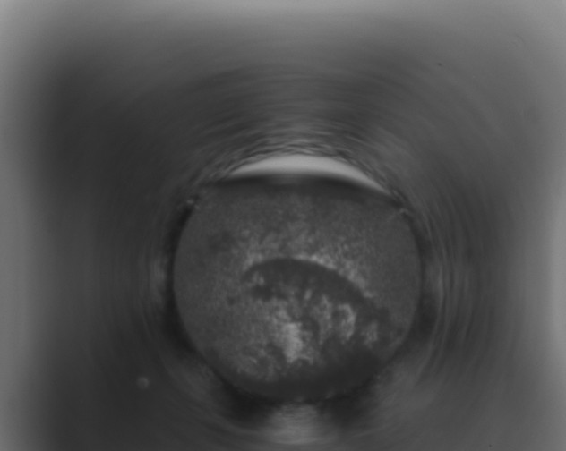 X0000089750271200706281631