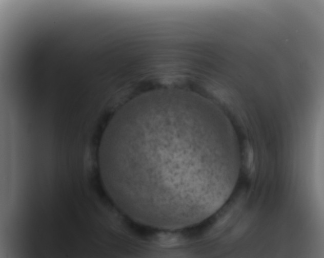 X0000089750272200706281631