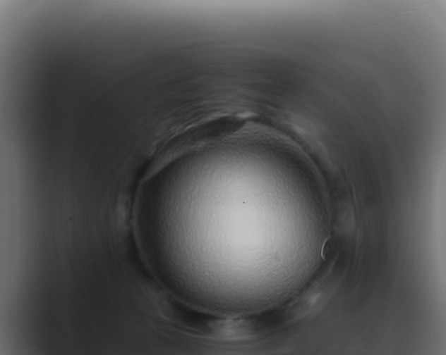 X0000089750273200706281631