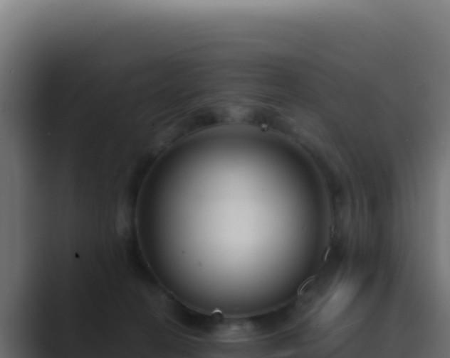 X0000089750274200706281631