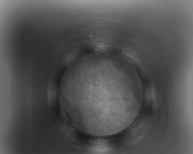 X0000089750276200706281631