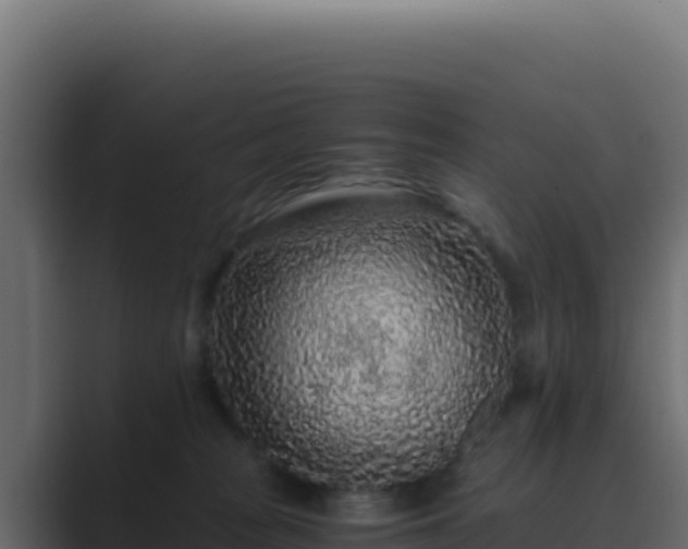 X0000089750277200706281631