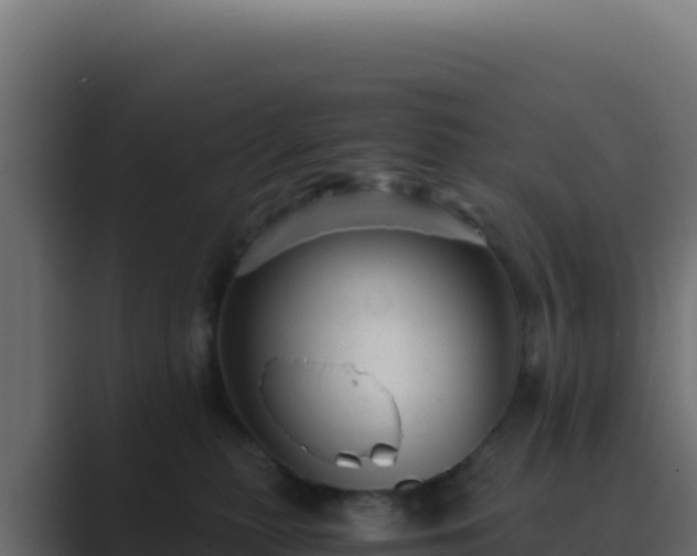 X0000089750279200706281631