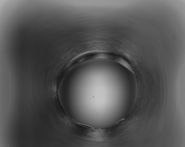 X0000089750288200706281631