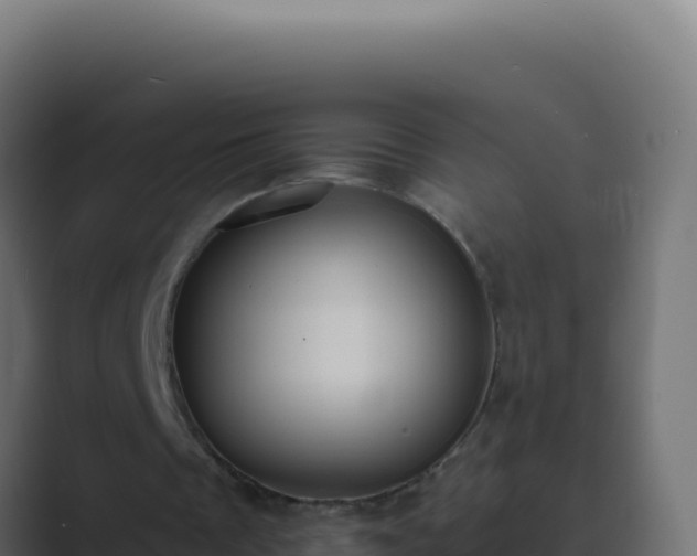 X0000089750289200706281630